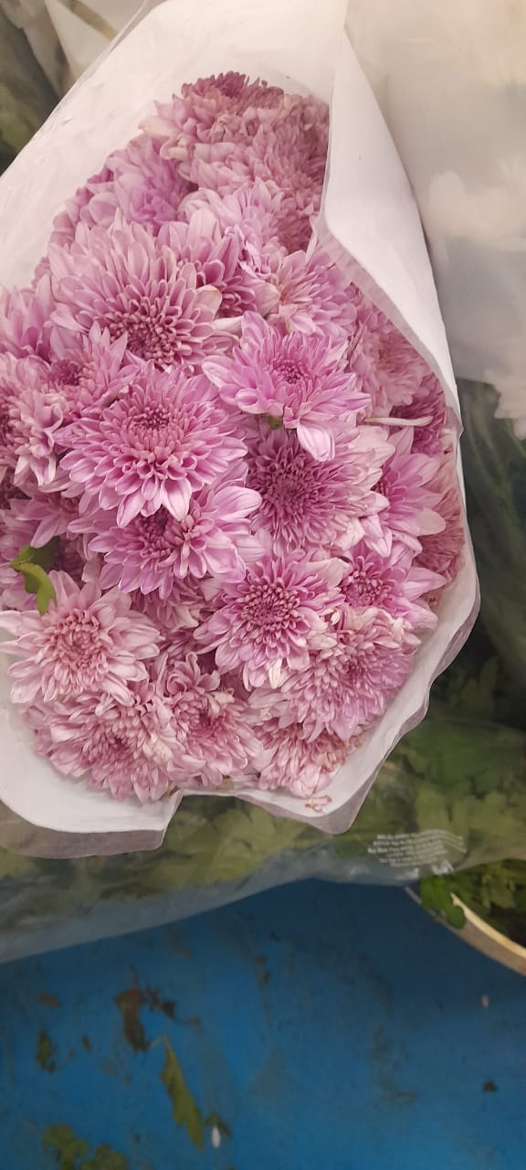 NGM Floritech photo 1