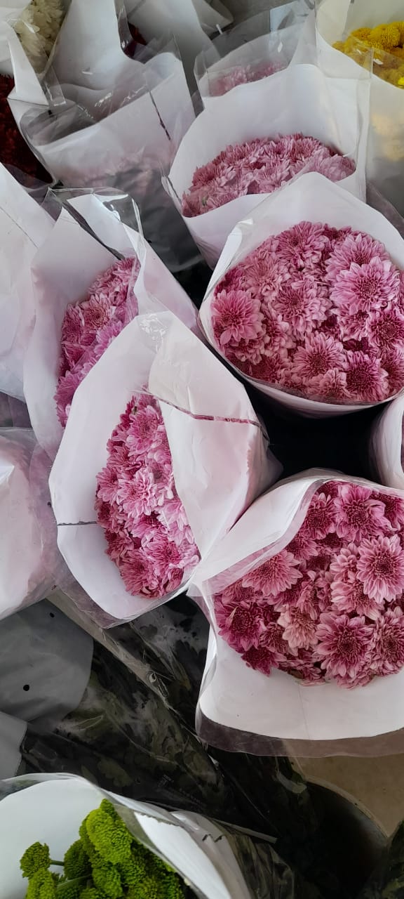 NGM Floritech photo 11