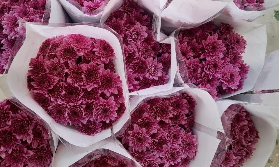 NGM Floritech photo 23