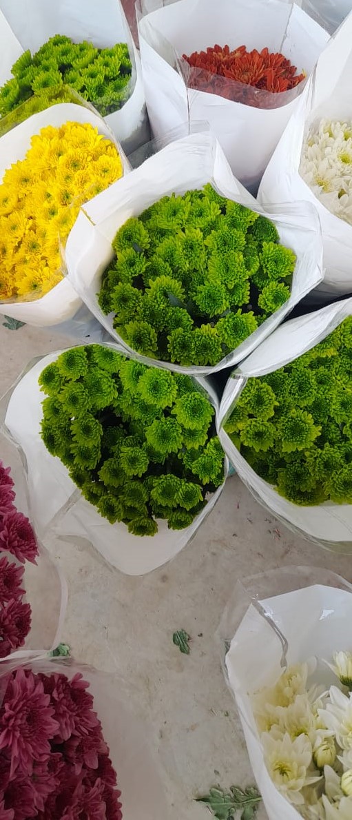 NGM Floritech photo 24