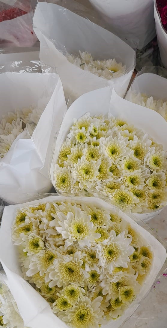 NGM Floritech photo 26
