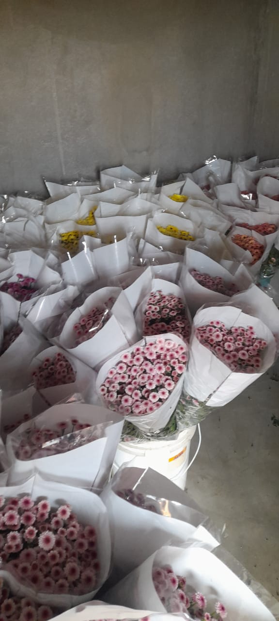 NGM Floritech photo 29