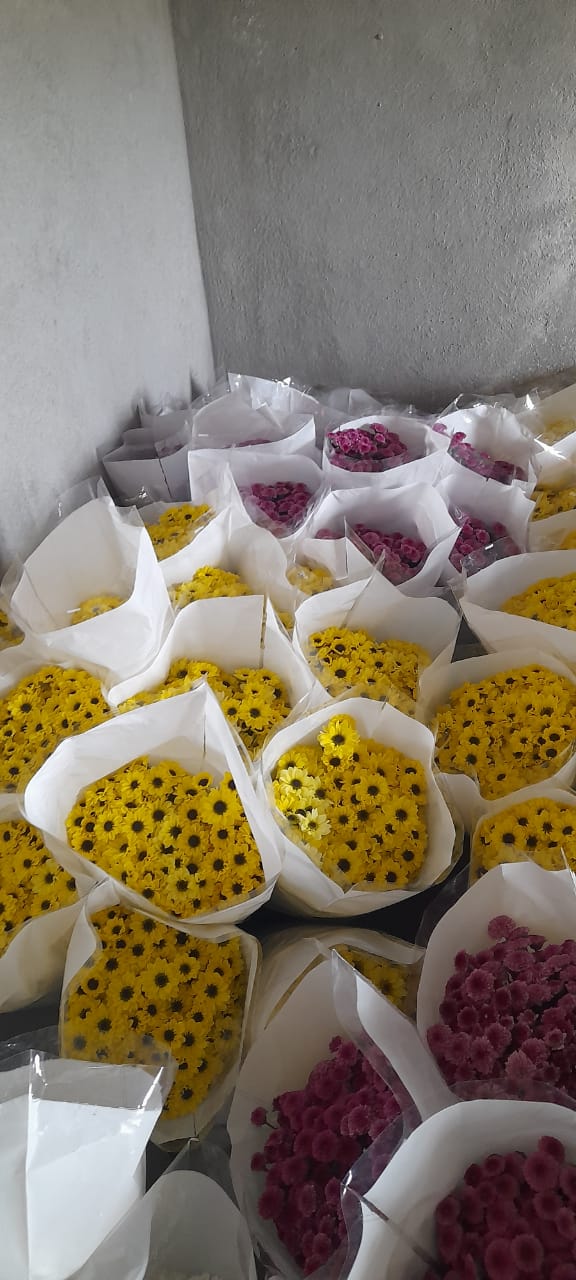 NGM Floritech photo 31