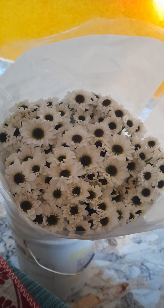 NGM Floritech photo 34