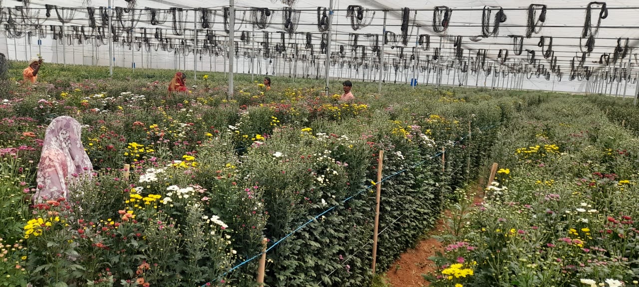 NGM Floritech photo 35