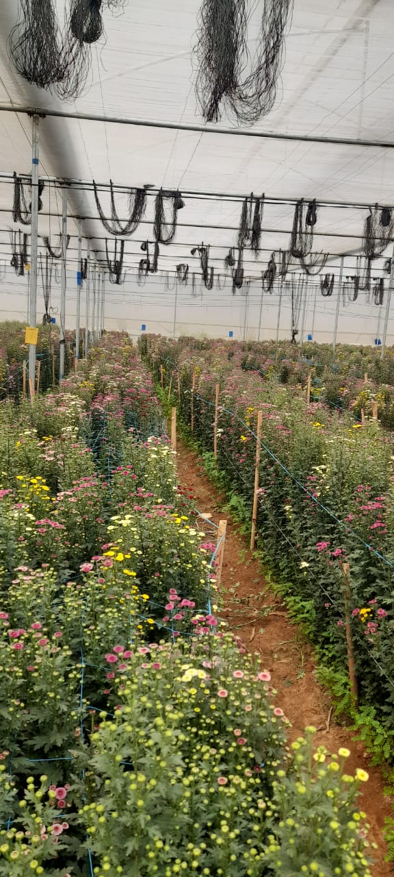 NGM Floritech photo 36