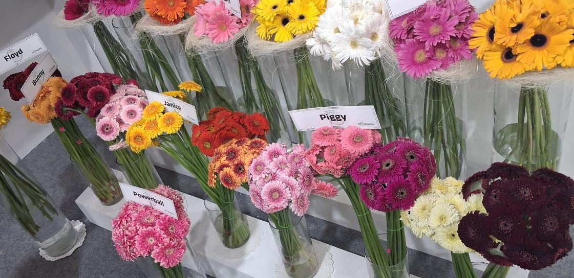 NGM Floritech photo 39