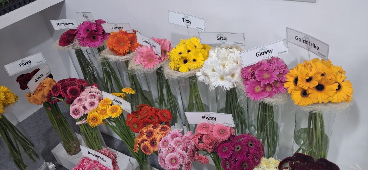 NGM Floritech photo 41