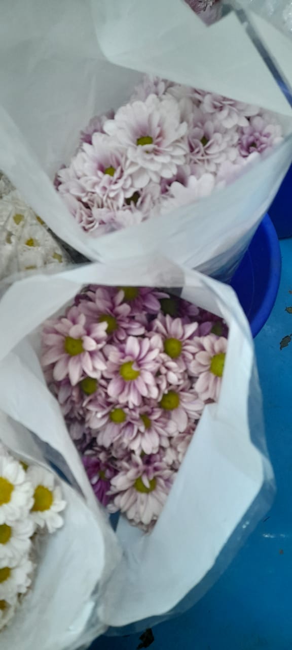 NGM Floritech photo 5