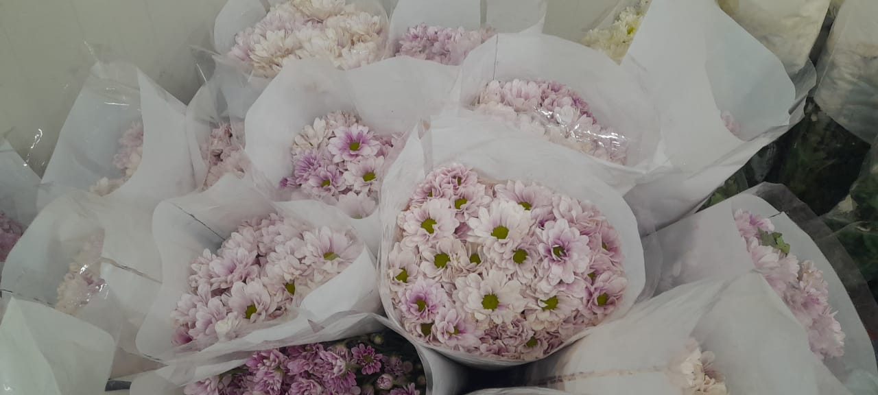 NGM Floritech photo 6