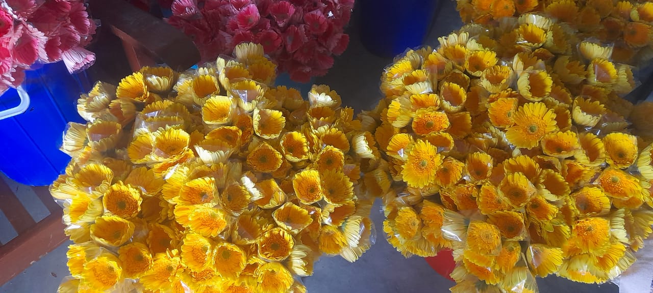NGM Floritech photo 61