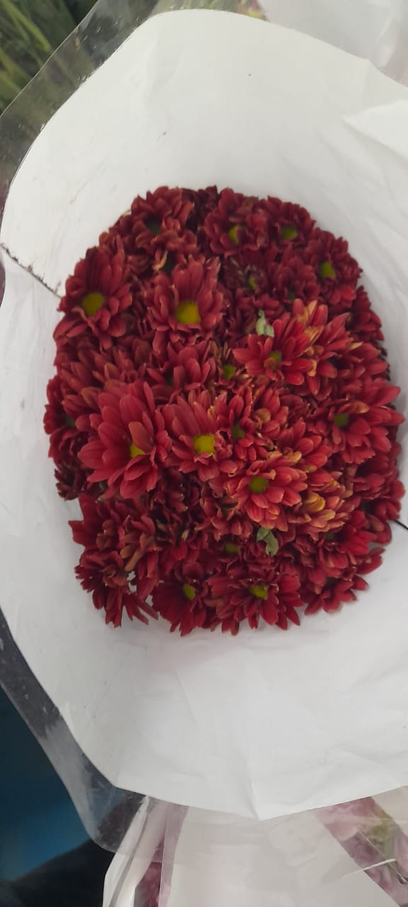 NGM Floritech photo 8