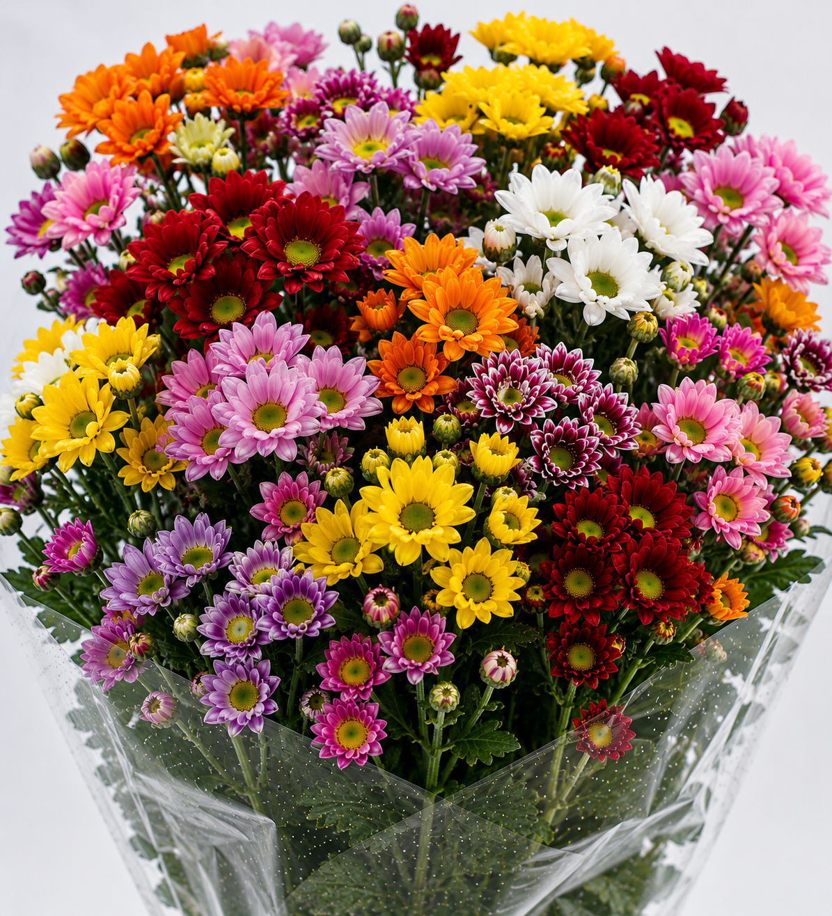 Spray Mix Chrysanthemum